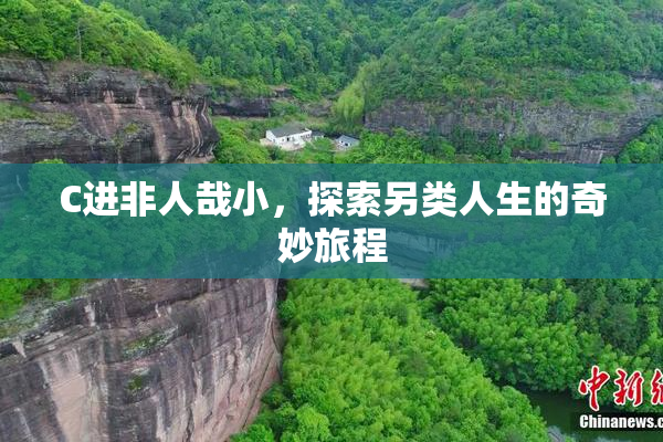 C进非人哉小，探索另类人生的奇妙旅程