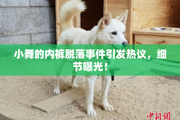 小舞的内裤脱落事件引发热议，细节曝光！