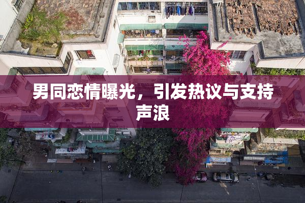 男同恋情曝光，引发热议与支持声浪