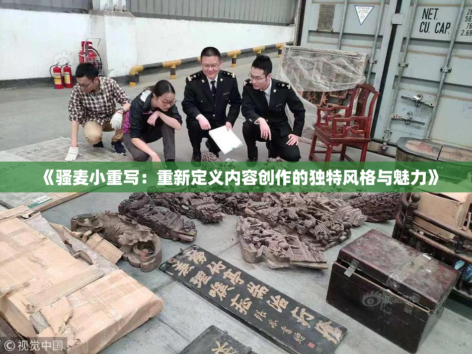 《骚麦小重写：重新定义内容创作的独特风格与魅力》