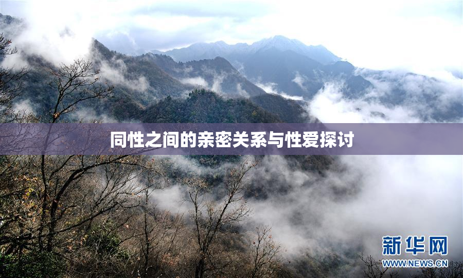 同性之间的亲密关系与性爱探讨