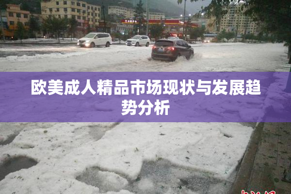 欧美成人精品市场现状与发展趋势分析
