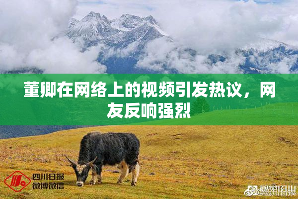 董卿在网络上的视频引发热议，网友反响强烈