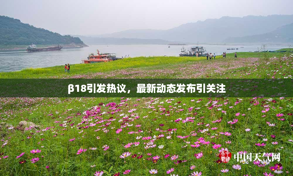 β18引发热议，最新动态发布引关注