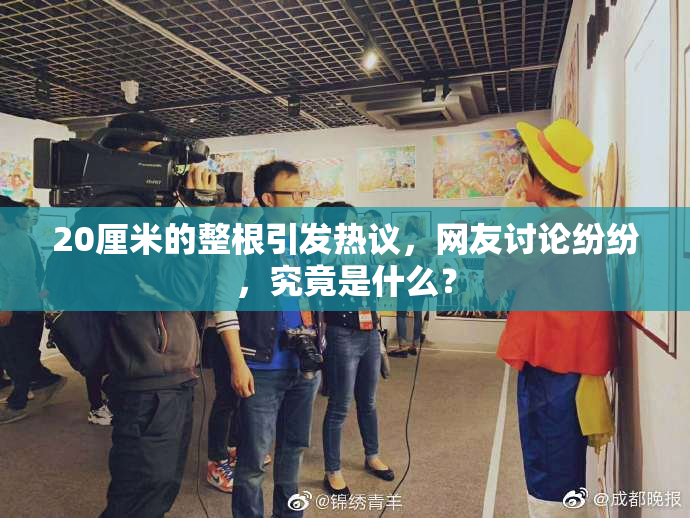 20厘米的整根引发热议，网友讨论纷纷，究竟是什么？