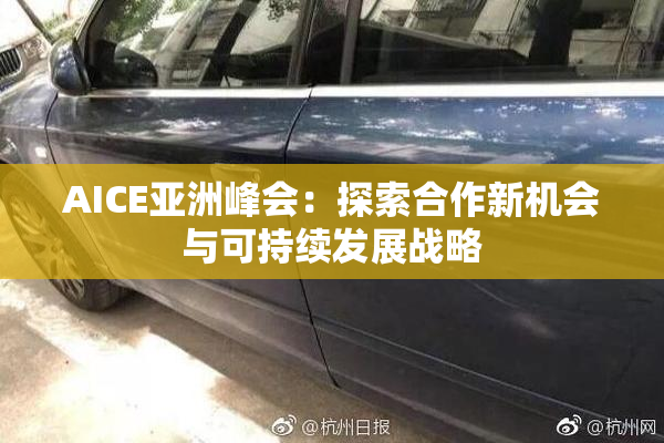AICE亚洲峰会：探索合作新机会与可持续发展战略