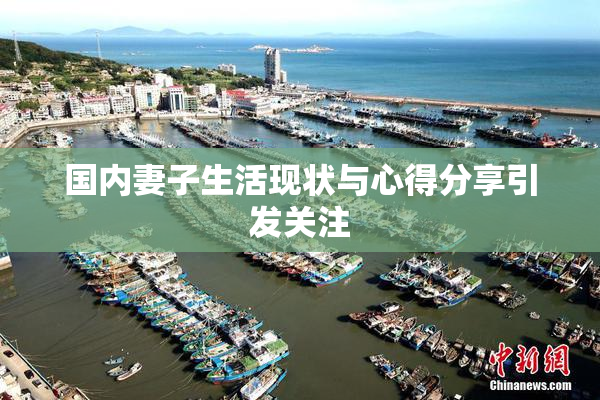国内妻子生活现状与心得分享引发关注
