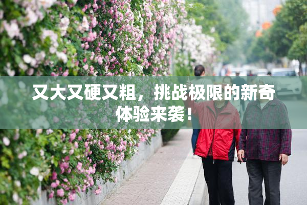 又大又硬又粗，挑战极限的新奇体验来袭！