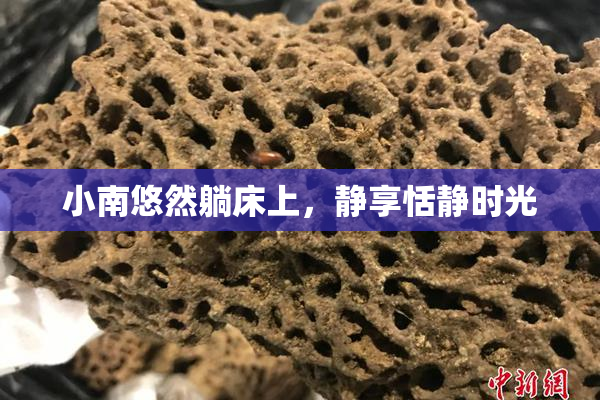 小南悠然躺床上，静享恬静时光