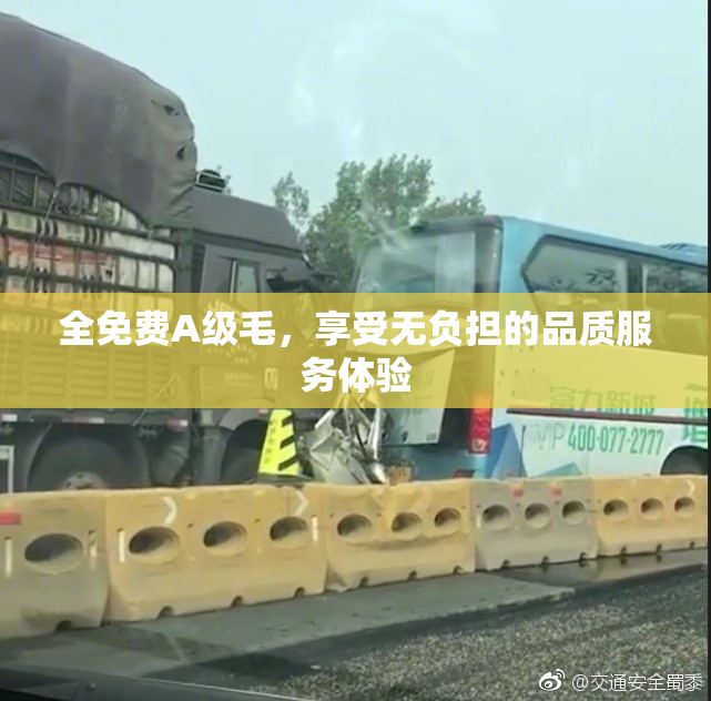 全免费A级毛，享受无负担的品质服务体验