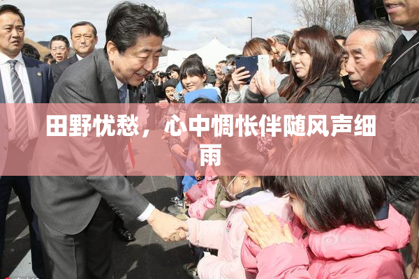田野忧愁，心中惆怅伴随风声细雨