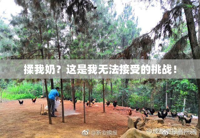 揉我奶？这是我无法接受的挑战！