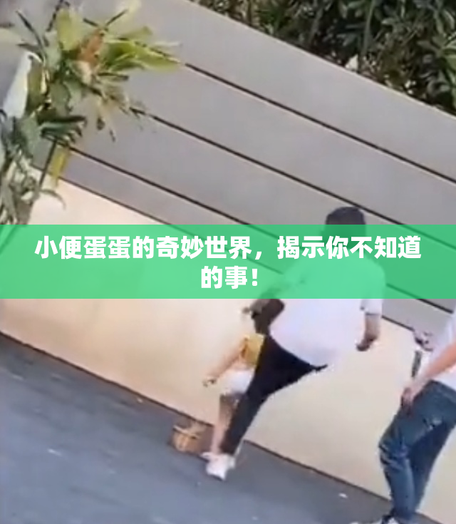小便蛋蛋的奇妙世界，揭示你不知道的事！