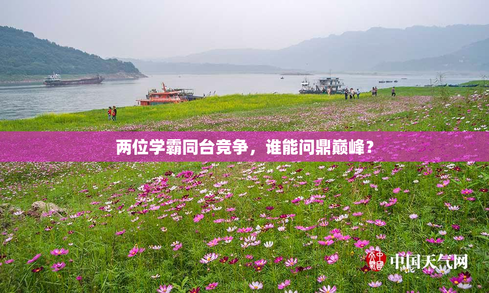 两位学霸同台竞争，谁能问鼎巅峰？