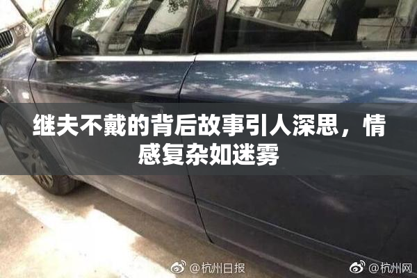 继夫不戴的背后故事引人深思，情感复杂如迷雾