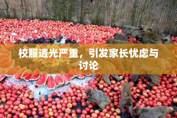 校服透光严重，引发家长忧虑与讨论