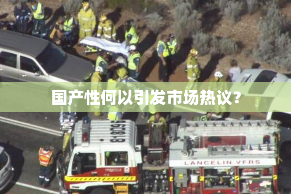 国产性何以引发市场热议？
