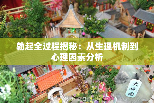 勃起全过程揭秘：从生理机制到心理因素分析