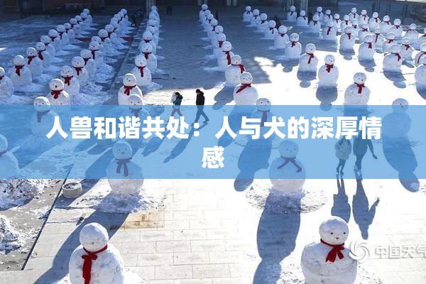 人兽和谐共处：人与犬的深厚情感