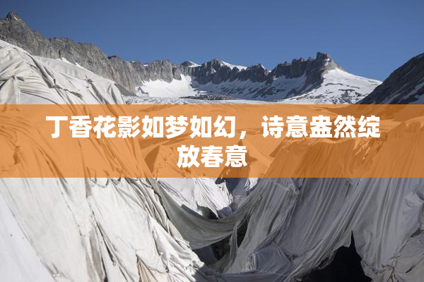 丁香花影如梦如幻，诗意盎然绽放春意