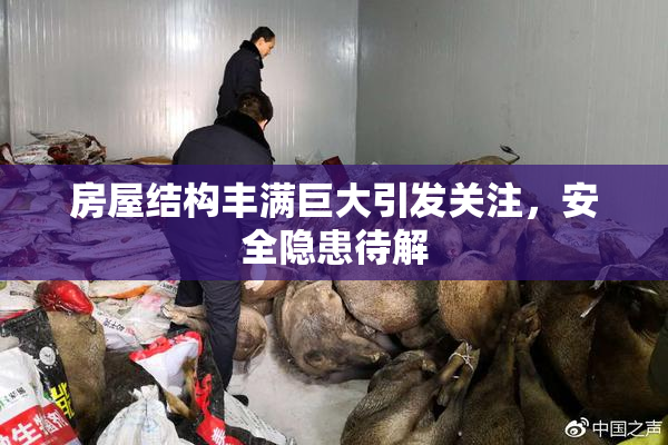 房屋结构丰满巨大引发关注，安全隐患待解