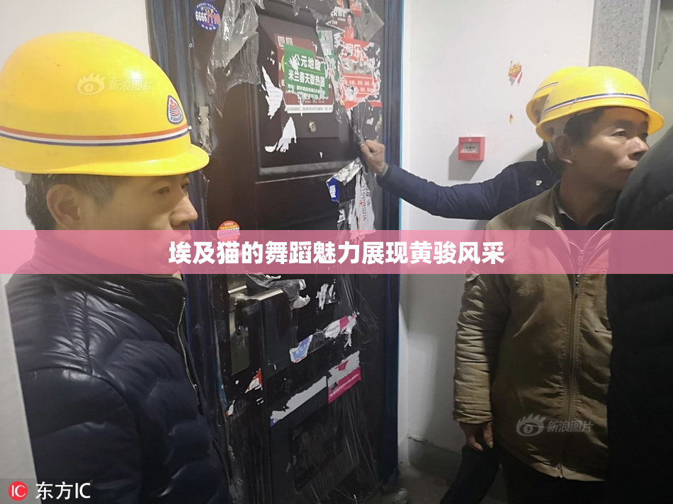 埃及猫的舞蹈魅力展现黄骏风采