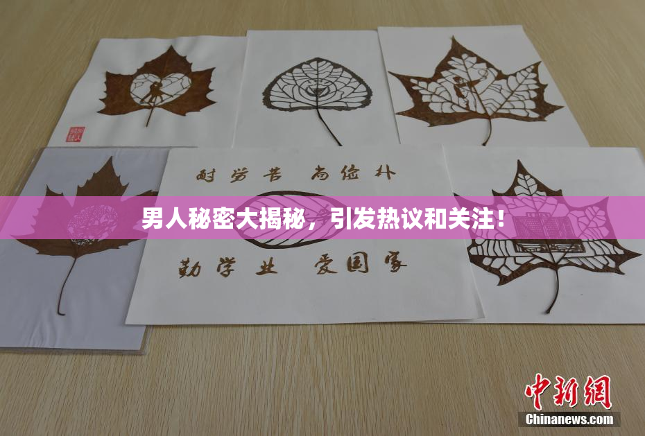 男人秘密大揭秘，引发热议和关注！