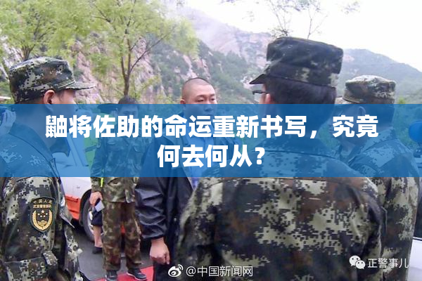 鼬将佐助的命运重新书写，究竟何去何从？