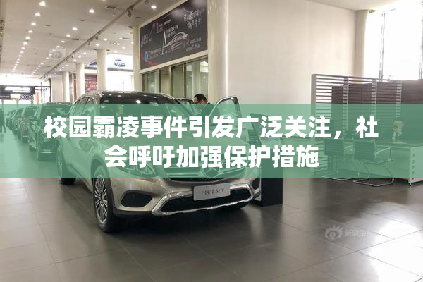 校园霸凌事件引发广泛关注，社会呼吁加强保护措施