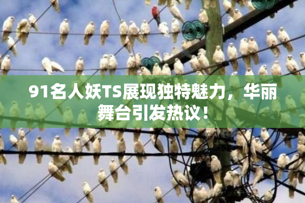91名人妖TS展现独特魅力，华丽舞台引发热议！