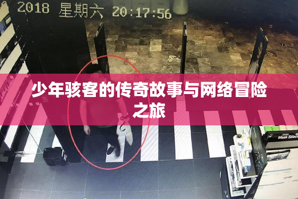 少年骇客的传奇故事与网络冒险之旅