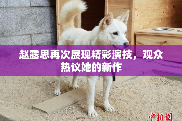 赵露思再次展现精彩演技，观众热议她的新作