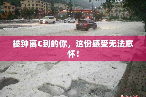 被钟离C到的你，这份感受无法忘怀！