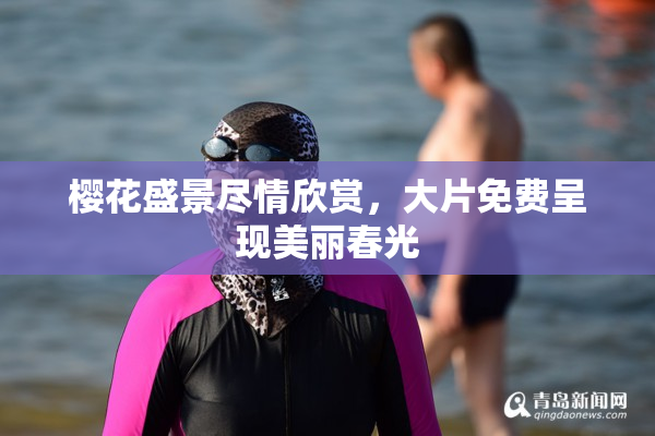 樱花盛景尽情欣赏，大片免费呈现美丽春光