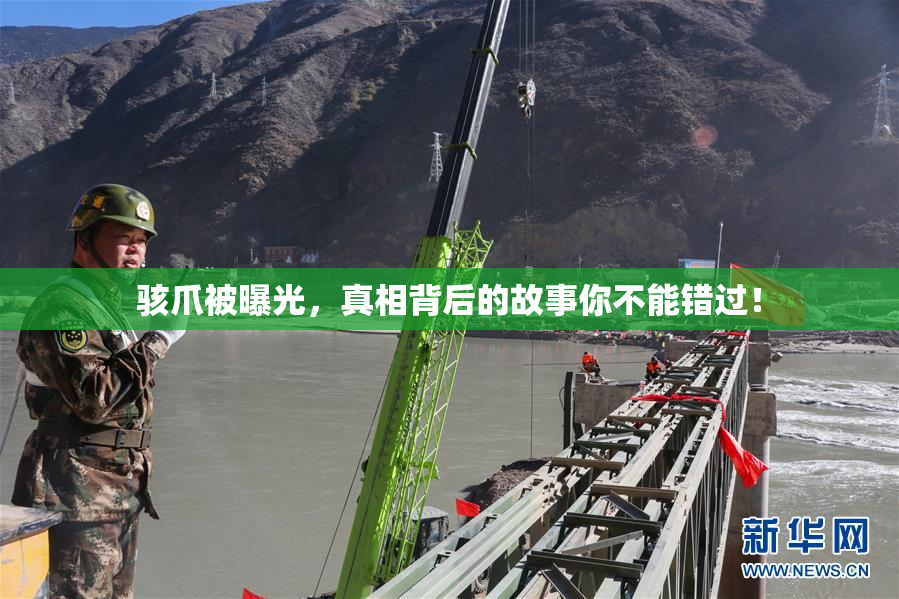 骇爪被曝光，真相背后的故事你不能错过！