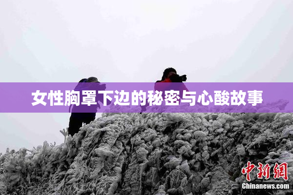 女性胸罩下边的秘密与心酸故事