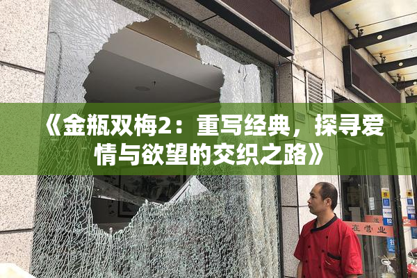 《金瓶双梅2：重写经典，探寻爱情与欲望的交织之路》