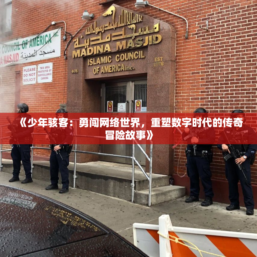 《少年骇客：勇闯网络世界，重塑数字时代的传奇冒险故事》