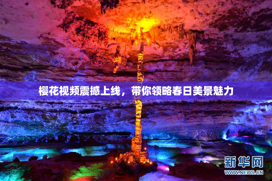樱花视频震撼上线，带你领略春日美景魅力