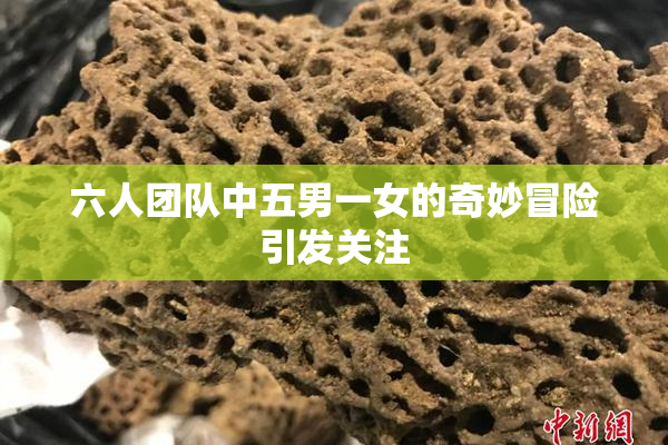 六人团队中五男一女的奇妙冒险引发关注