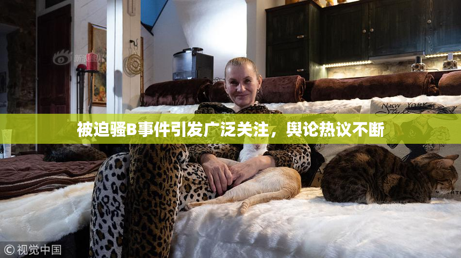 被迫骚B事件引发广泛关注，舆论热议不断