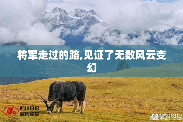 将军走过的路,见证了无数风云变幻