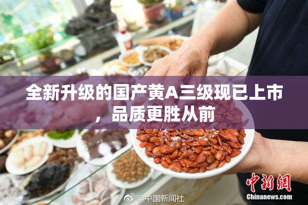 全新升级的国产黄A三级现已上市，品质更胜从前