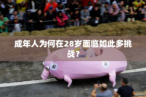 成年人为何在28岁面临如此多挑战？