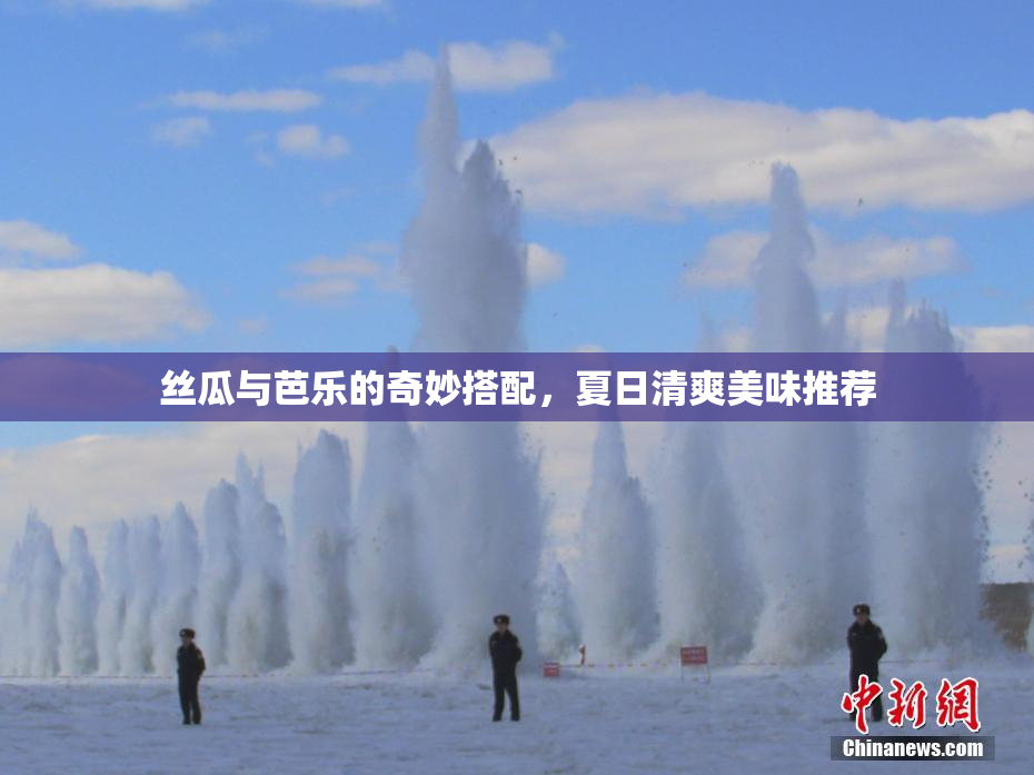 丝瓜与芭乐的奇妙搭配，夏日清爽美味推荐