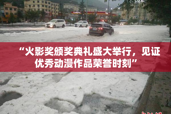“火影奖颁奖典礼盛大举行，见证优秀动漫作品荣誉时刻”