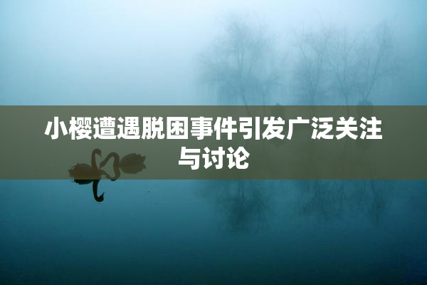 小樱遭遇脱困事件引发广泛关注与讨论