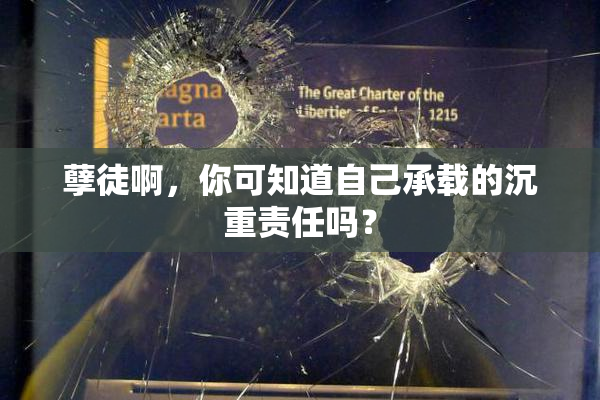 孽徒啊，你可知道自己承载的沉重责任吗？
