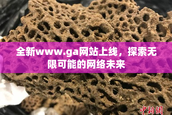 全新www.ga网站上线，探索无限可能的网络未来