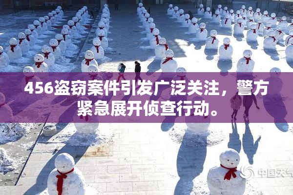 456盗窃案件引发广泛关注，警方紧急展开侦查行动。